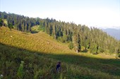 Подъём выше родника